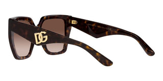 Dolce & Gabbana DG 4438 women Havana Butterfly Sunglasses