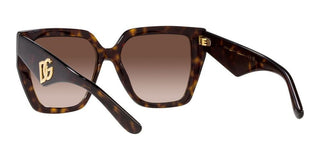 Dolce & Gabbana DG 4438 women Havana Butterfly Sunglasses