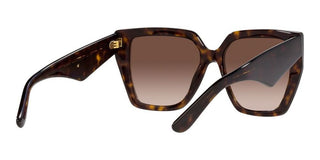 Dolce & Gabbana DG 4438 women Havana Butterfly Sunglasses