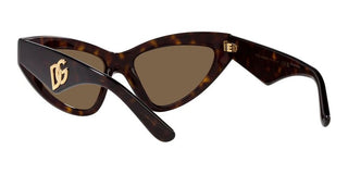 Dolce & Gabbana DG 4439 women Havana Cat Eye Sunglasses