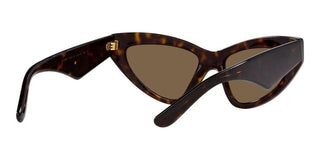 Dolce & Gabbana DG 4439 women Havana Cat Eye Sunglasses