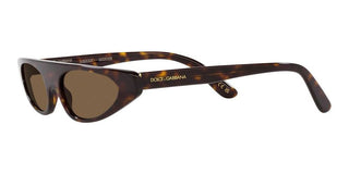 Dolce & Gabbana DG 4442 women Havana Cat Eye Sunglasses