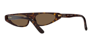 Dolce & Gabbana DG 4442 women Havana Cat Eye Sunglasses