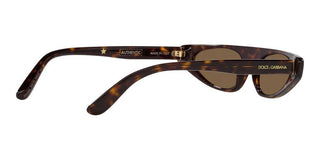 Dolce & Gabbana DG 4442 women Havana Cat Eye Sunglasses