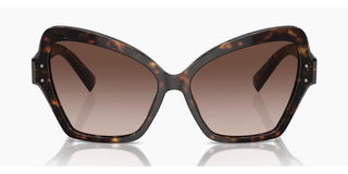 Dolce & Gabbana DG 4463 women Havana Butterfly Sunglasses