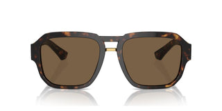 Dolce & Gabbana DG 4464 men Havana Pilot Sunglasses