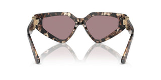 Dolce & Gabbana DG 4469 women Havana Butterfly Sunglasses