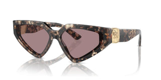 Dolce & Gabbana DG 4469 women Havana Butterfly Sunglasses