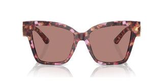 Dolce & Gabbana DG 4470 women Havana Butterfly Sunglasses