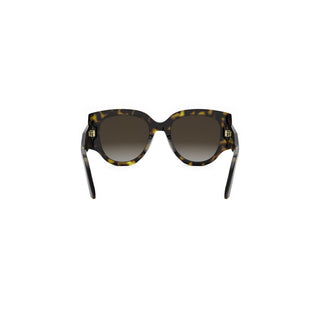 DIOR DiorSignature DiorSignature R2I women Havana Butterfly Sunglasses