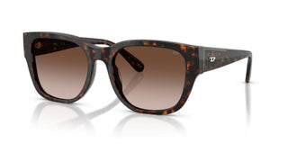 Diesel DL 2005 unisex Havana Squared Sunglasses