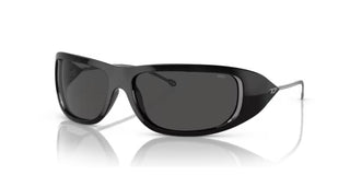 Diesel DL 3001 unisex Black Other Sunglasses