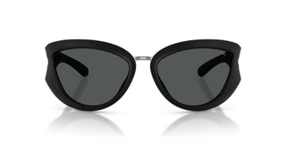 Diesel DL 3007U unisex Black Other Sunglasses