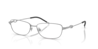 Diesel DL 5002 unisex Silver Rectangle Eyeglasses