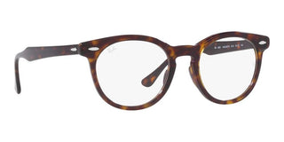 Ray-Ban EAGLEEYE RX 5598 unisex Brown Geometric Eyeglasses