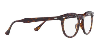 Ray-Ban EAGLEEYE RX 5598 unisex Brown Geometric Eyeglasses