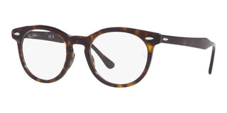 Ray-Ban EAGLEEYE RX 5598 unisex Brown Geometric Eyeglasses