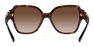 Emporio Armani EA 4202 women Havana Squared Sunglasses