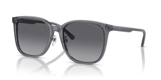 Emporio Armani EA 4206D men Grey Pantos Sunglasses