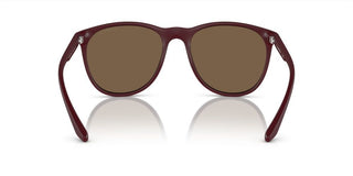 Emporio Armani EA 4210 men Brown Squared Sunglasses