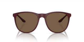 Emporio Armani EA 4210 men Brown Squared Sunglasses