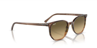 Ray-Ban ELLIOT RB 2197 unisex Brown Geometric Sunglasses