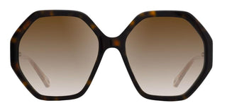 Chloé ESTHER CH0008S women Havana Oversize Sunglasses