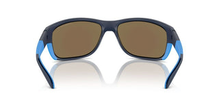 Arnette FLORESTA AN 4337 men Blue Rectangle Sunglasses