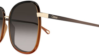 Chloé FRANKY CH0031S women Brown Oversize Sunglasses