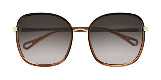 Chloé FRANKY CH0031S women Brown Oversize Sunglasses