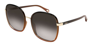 Chloé FRANKY CH0031S women Brown Oversize Sunglasses