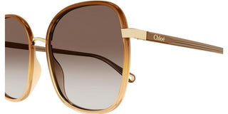 Chloé FRANKY CH0031S women Brown Oversize Sunglasses