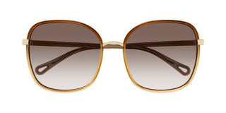 Chloé FRANKY CH0031S women Brown Oversize Sunglasses