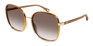 Chloé FRANKY CH0031S women Brown Oversize Sunglasses