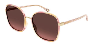 Chloé FRANKY CH0031S women Havana Oversize Sunglasses