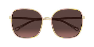 Chloé FRANKY CH0031S women Havana Oversize Sunglasses