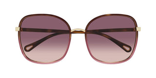 Chloé FRANKY CH0031S women Havana Oversize Sunglasses