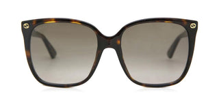 Gucci GG0022S women Havana Butterfly Sunglasses