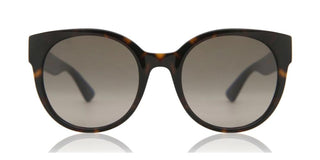 Gucci GG0035SN women Havana Pantos Sunglasses