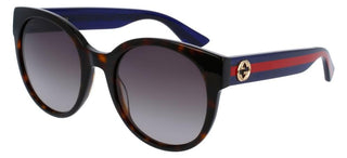 Gucci GG0035SN women Havana Pantos Sunglasses