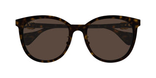 Gucci GG1180SK women Havana Cat Eye Sunglasses