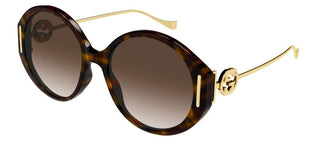 Gucci GG1202SK women Havana Butterfly Sunglasses