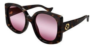 Gucci GG1257S women Havana Butterfly Sunglasses