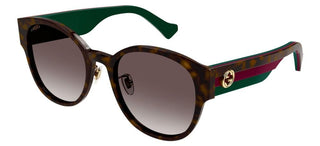 Gucci GG1304SK women Havana Round Sunglasses