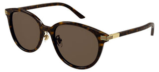 Gucci GG1452SK women Havana Round Sunglasses