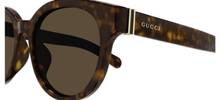 Gucci GG1511SK men Havana Round Sunglasses