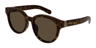 Gucci GG1511SK men Havana Round Sunglasses