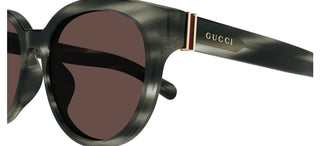 Gucci GG1511SK men Havana Round Sunglasses