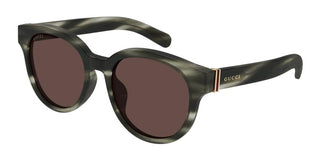 Gucci GG1511SK men Havana Round Sunglasses