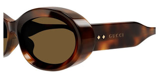 Gucci GG1527S women Havana Round Sunglasses